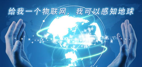 物聯(lián)網(wǎng)產(chǎn)業(yè)崛起背后的無形基石 網(wǎng)絡(luò)技術(shù)開發(fā)的驅(qū)動與創(chuàng)新